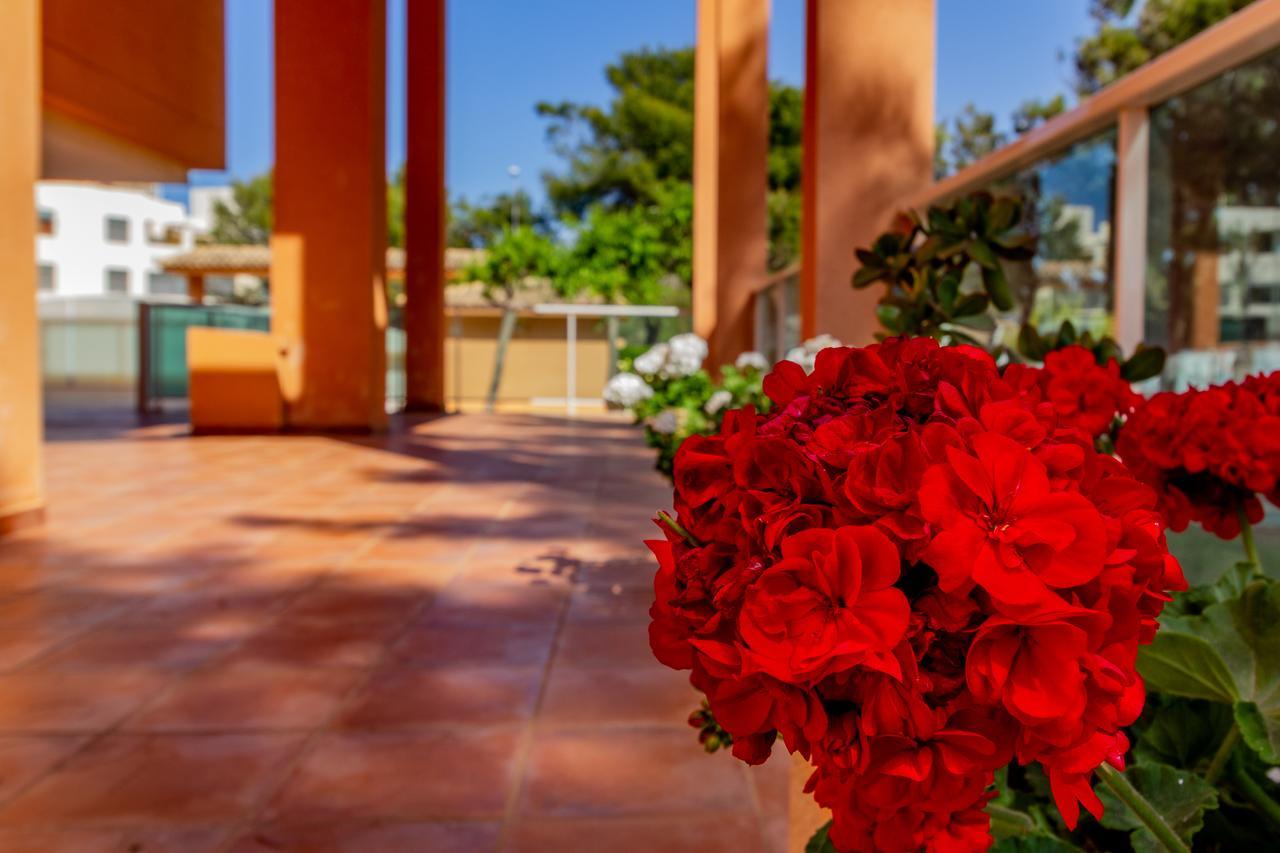 Апартаменты Realrent Mirador Al Mar Дения Экстерьер фото